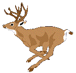 Deer2.gif (4312 bytes)